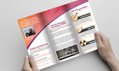 link to brochures section